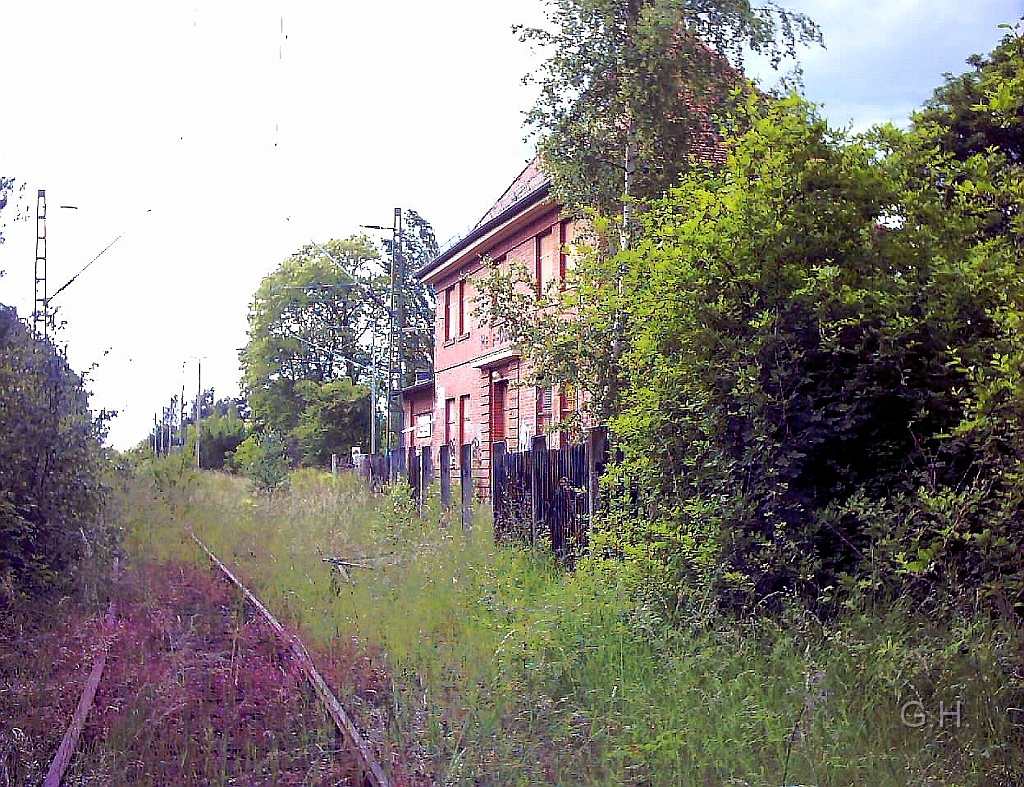 H-D0004.JPG - Der Bahnhof Halle-Dölau, der ex HHE, im Spätsommer 2005. Auch hier, durch die Einstellung des S-Bahnverkehrs, holt sich die Natur das Gelände zurück.
