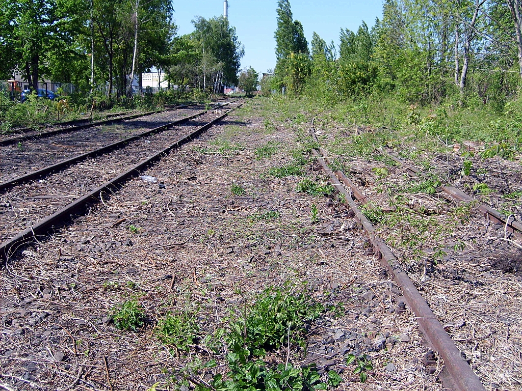 Halle_Ibhf-Turmstr.43.JPG - Am 4. Mai 2007 Industriebahnhof Turmstraße. Auf den rechten Gleis die Rechtsweiche führt zur Rollbockgrube. Dort wurden die Güterwagen auf die Rollböcke der Schmalspurbahn umgesetzt.